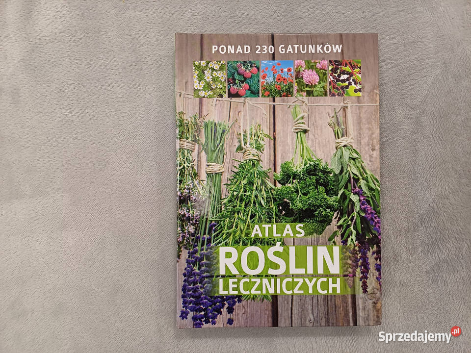 ATLAS ROŚLIN LECZNICZYCH PONAD 230 GATUNKI zdrowie, pierwsza pomoc Osięciny