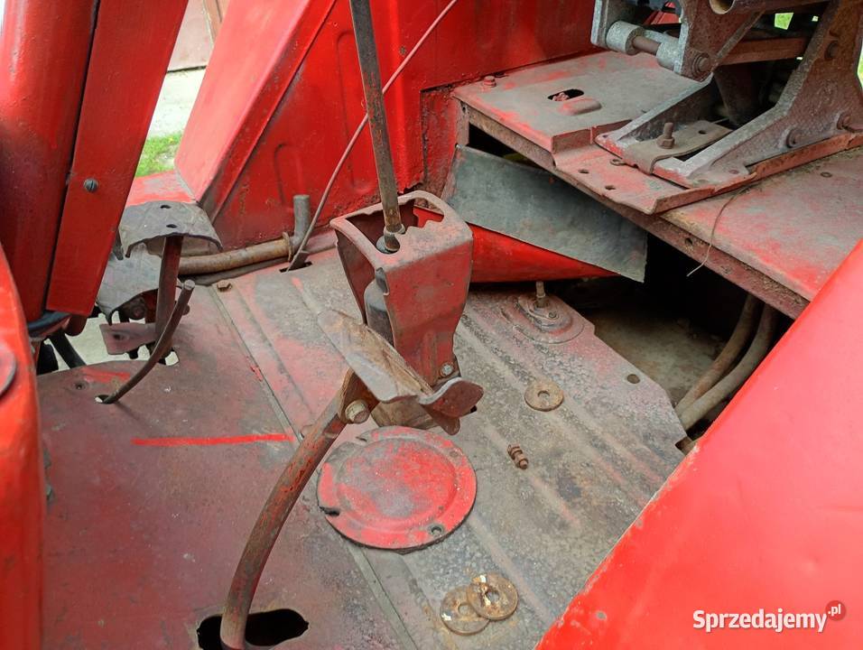 Władimirec rusek t25 Udrzynek sprzedam