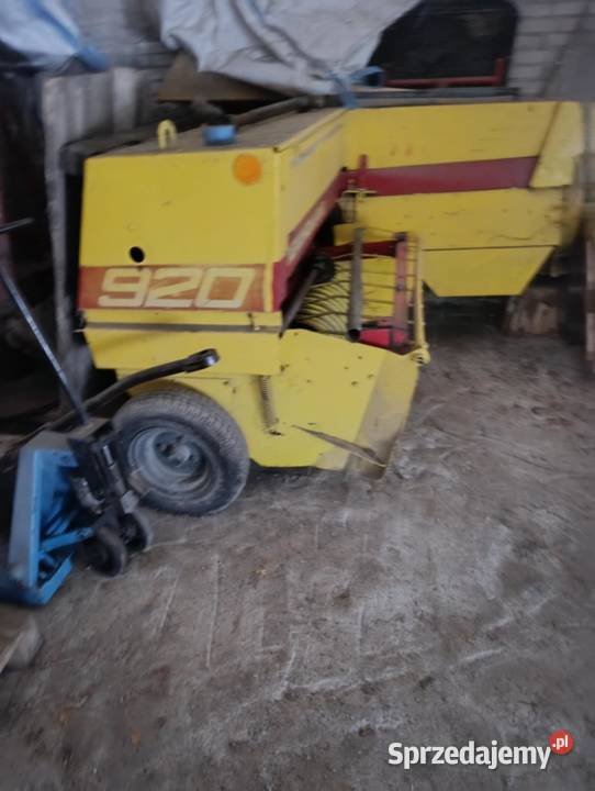 Prasa kostka Holland