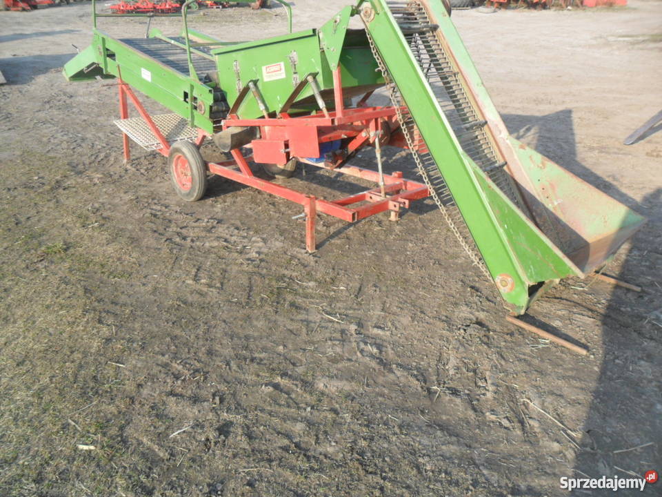 sortownik do ziemniaków cebulu remprodex kujawsko-pomorskie