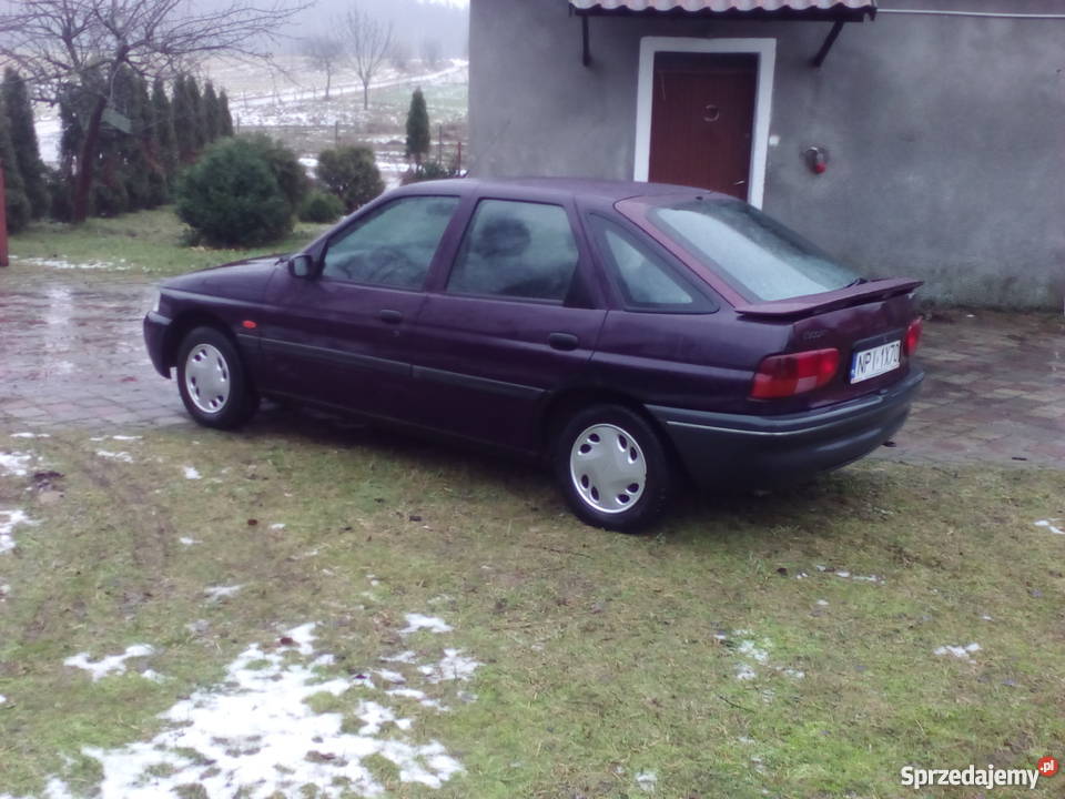 Ford escort wyposażenie Hatchback Pisz