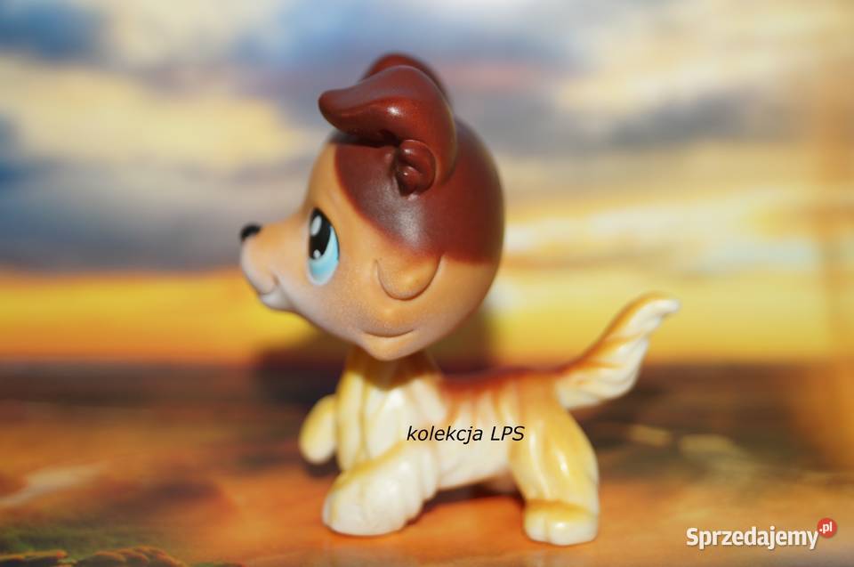 LPS Littlest Pet Shop collie 58 Sage oryginalny Rybnik sprzedam