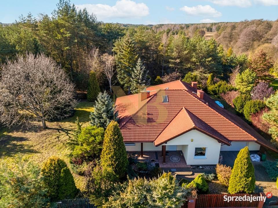Parterowa willa z furtką do lasu 35minut sprzedam