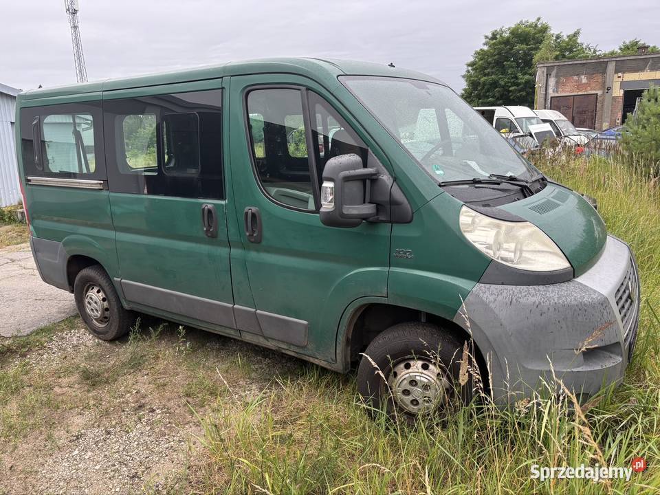 Fiat Ducato 22 9 osób Bydgoszcz