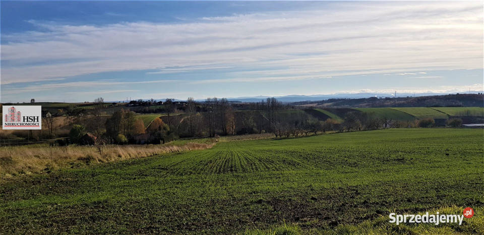 Grunt Michałowice 2450m2