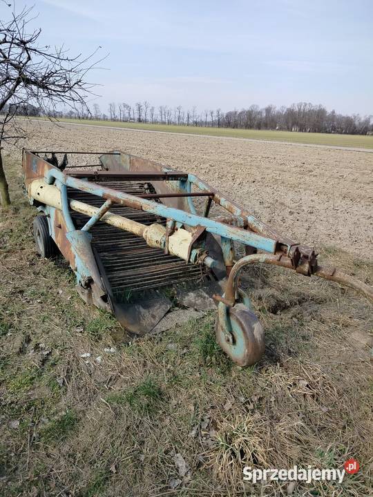 Siewnik 3m Konin sprzedam