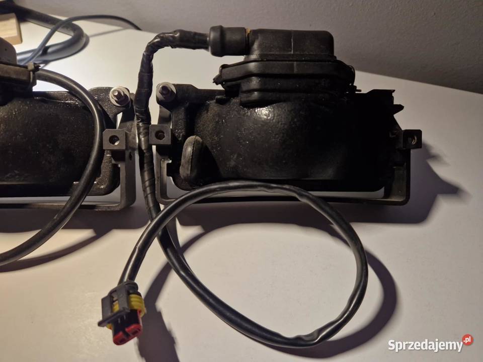 Halogeny Seicento Sporting Mokrzyska