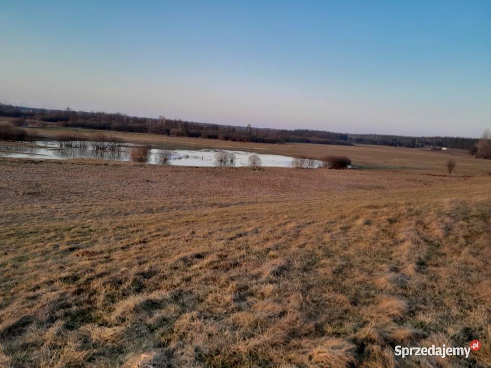 Działka w naturze Janowo sprzedam