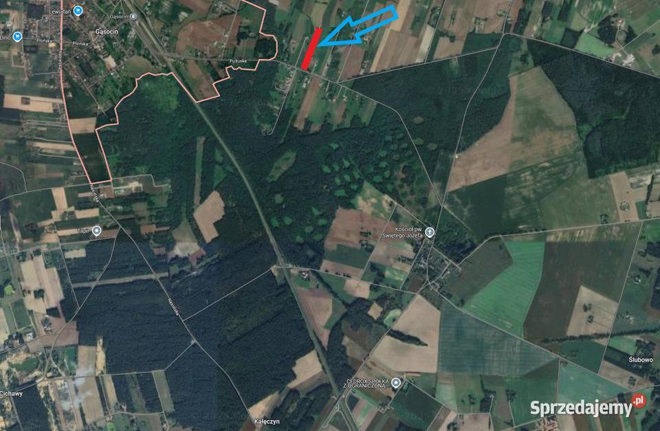 Sprzedam działkę 9243m2 Gąsocin 60 Warszawy Koźniewo Średnie
