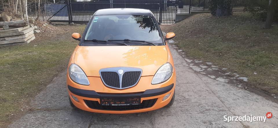 Lancia Ypsilon Limited Momo Design 14 95 2006 pomarańczowy lubelskie Nałęczów