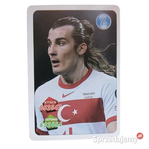 Karta piłkarska Euro 2024 alar Sync Legnica