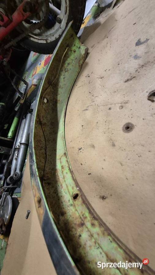 Komar błotnik tylny Pozostałe Pozostałe Hryniewicze