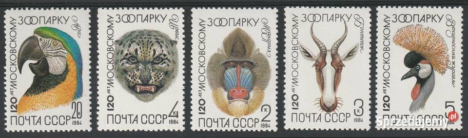ZSRR ROSJA 120 LAT ZOO MOSKWA 1984 CZYSTE Łódź