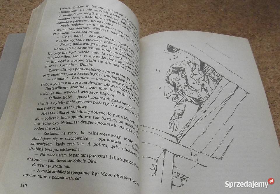 L Pan Samochodzik Księga strachów Nienacki Proza i poezja sprzedam