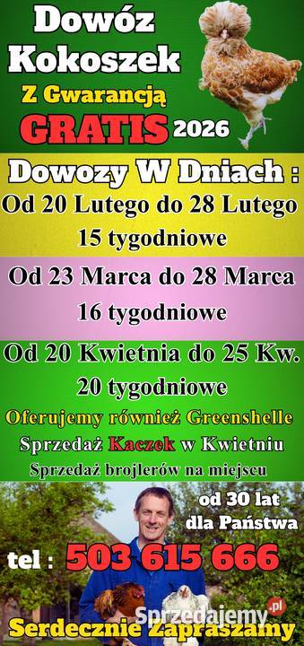 Kurki z GWARANCJĄ Dowóz Ferma Drobiu Ładna 97A Nowy Sącz