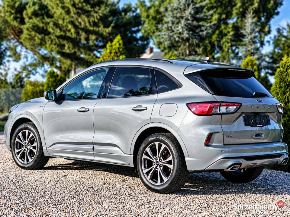 Ford Kuga III 2019 nieuszkodzony Kuga wielkopolskie Sadlno