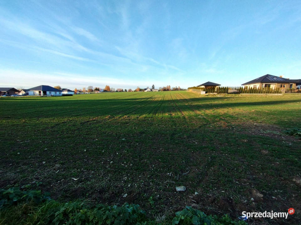 sprzedaży działki Panieńszczyzna 1836m2