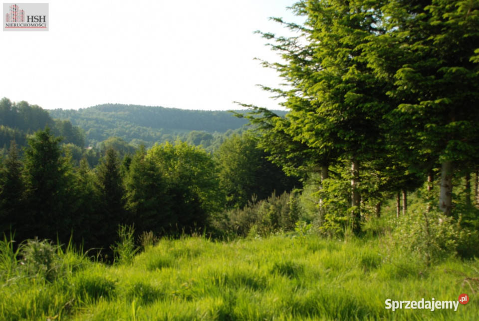 Do sprzedaży działka 14000m2 Żarnówka