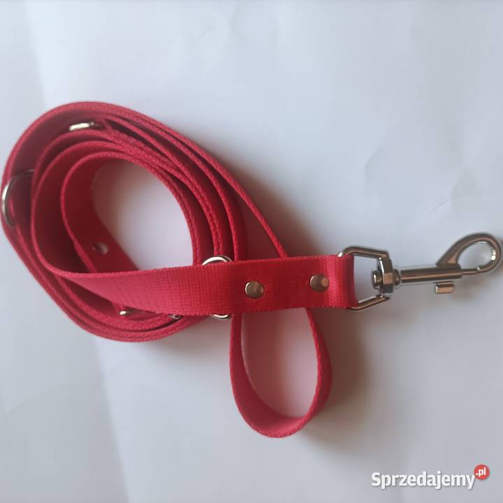 Smycz składak 25mm250 psa Gorzów Wielkopolski