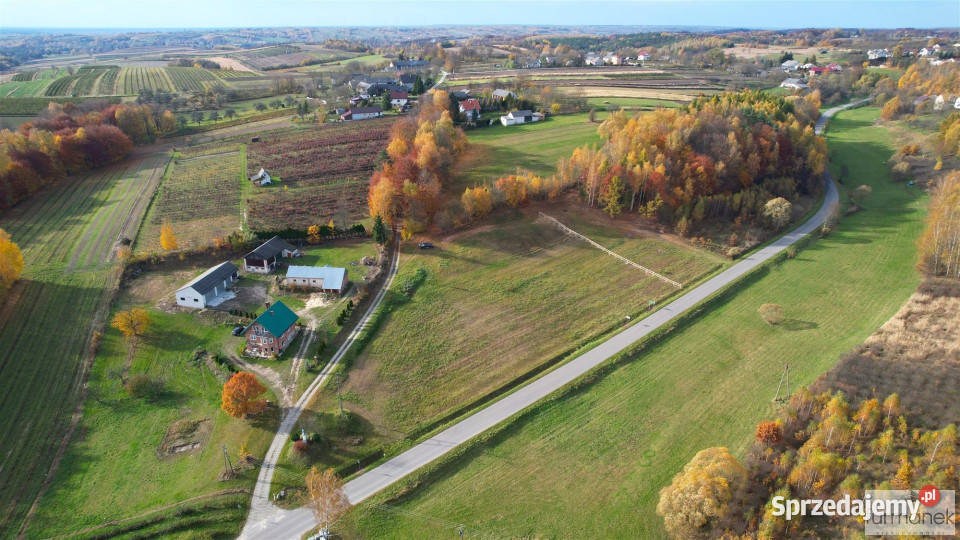 Sprzedaż działki TeodorówkaKolonia 2636m2 Teodorówka-Kolonia