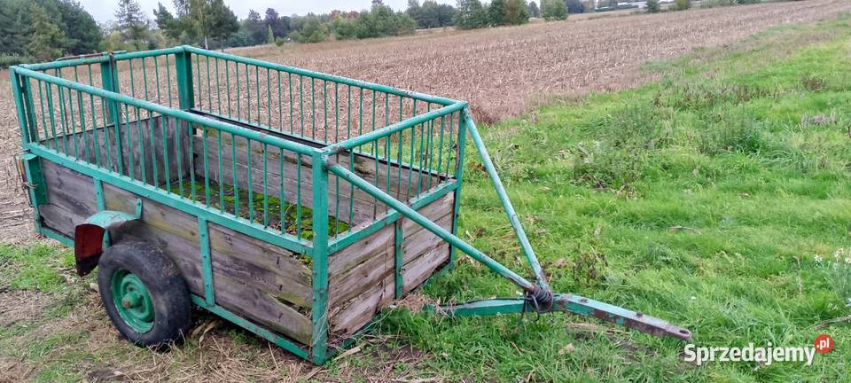 Balajtka łódzkie Kopaniny
