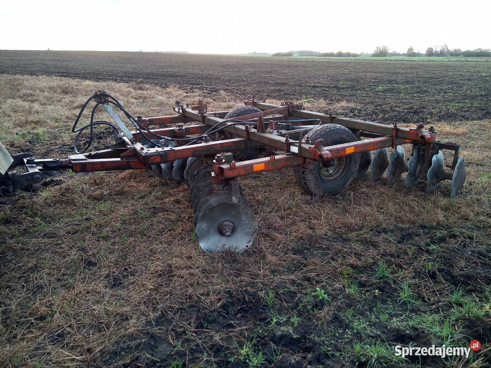 Brona Talerzowa ruska BDT warmińsko-mazurskie Bartoszyce
