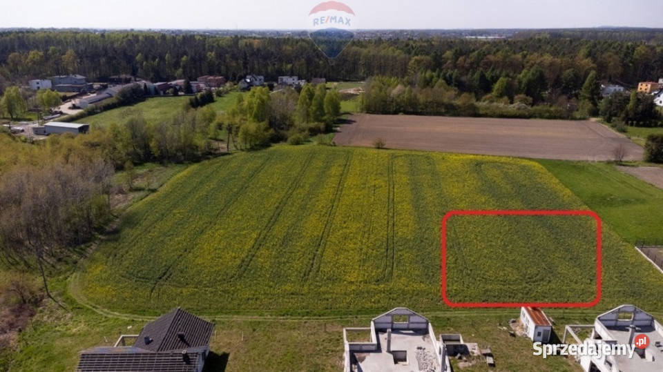 DZIAŁKA BUDOWLANA CZARKÓWPSZCZYNY 0m Czarków sprzedam