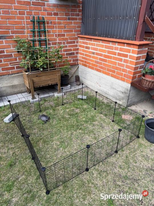 Wybieg modułowy świnki morskiej królika Gryzonie Mieścisko