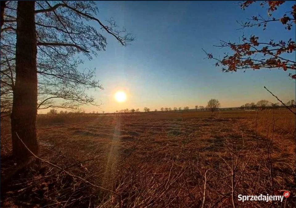Działka budowlana RATY budowlana opolskie Gorzów Śląski sprzedam