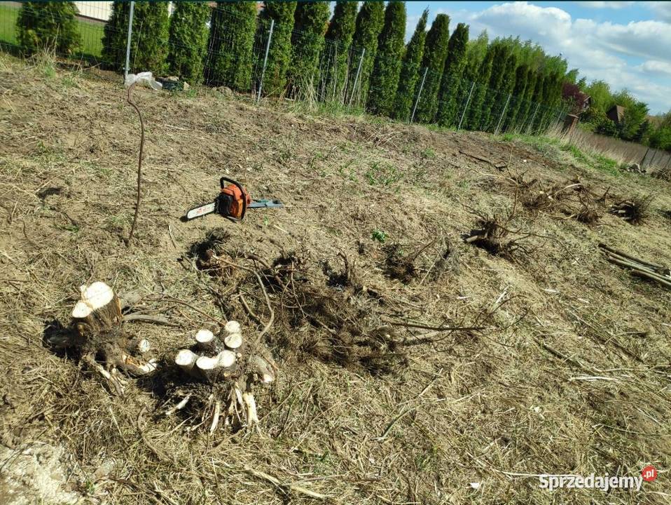 Koszenie nieużytków czyszczenie działek usługi Pruszków