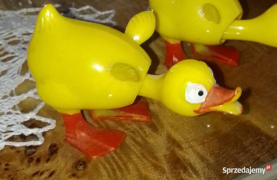 Kaczki z ruchomą główką kujawsko-pomorskie sprzedam