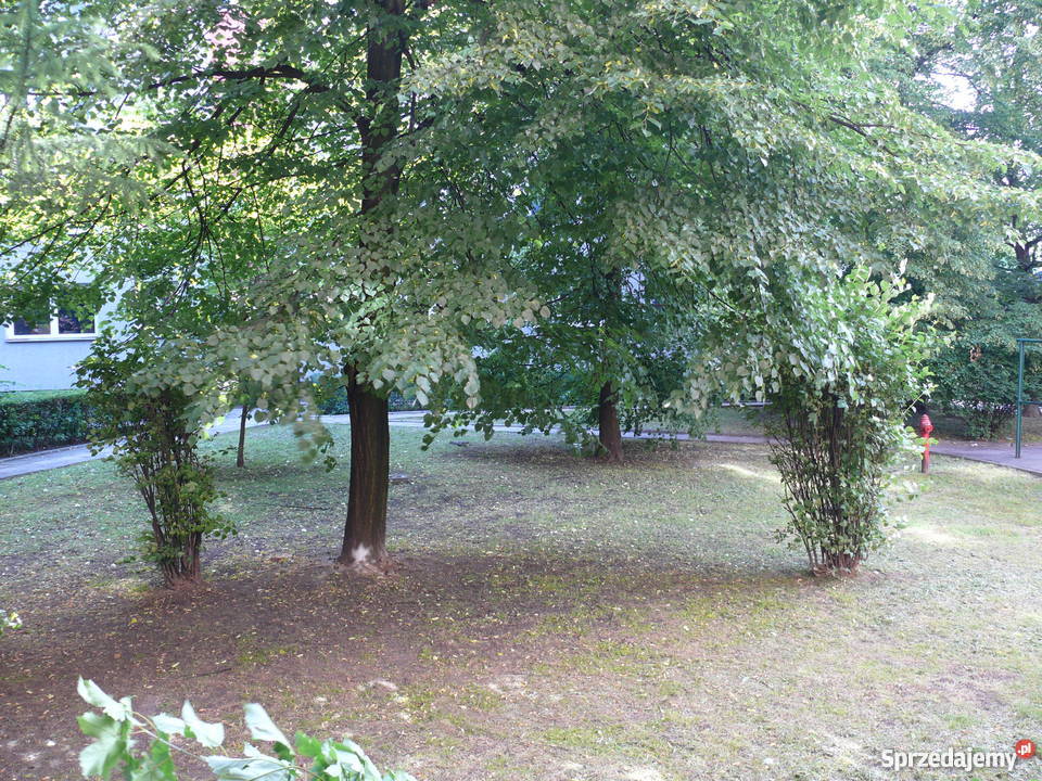 Sprzedam mieszkanie 37m2 Na Kozłówce 14Kraków oddzielna kuchnia Mieszkania Kraków