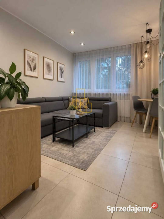 3 pokoje 5410 m wysoki parter balkon piwnica Wrocław
