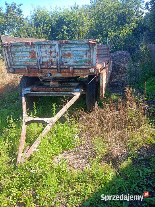 Przyczepa sztywna brak kwita Klonowo sprzedam