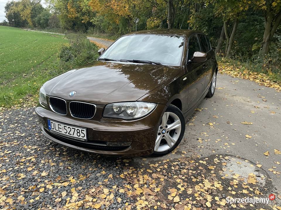BMW E87 116i Edition 2.0 benzyna 2009 rok przebieg 153000