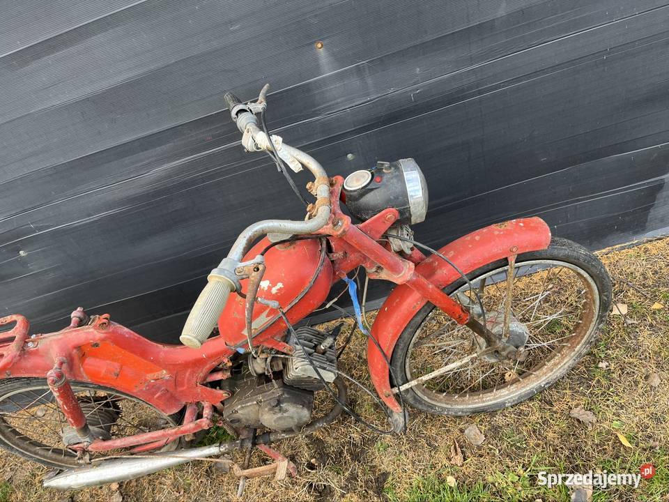 Komar 2352W Kłobuck