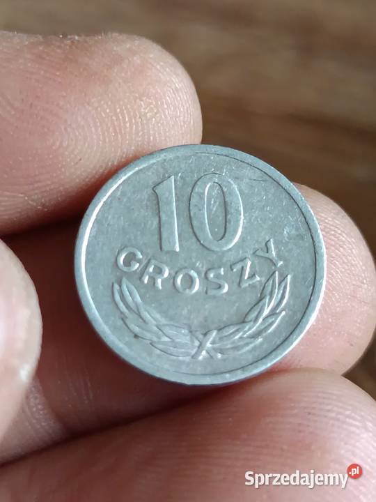 Sprzedam 10 groszy 1949 Chełm