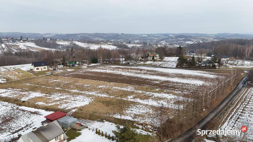 Ogłoszenie działka 1401m2 Tworkowa