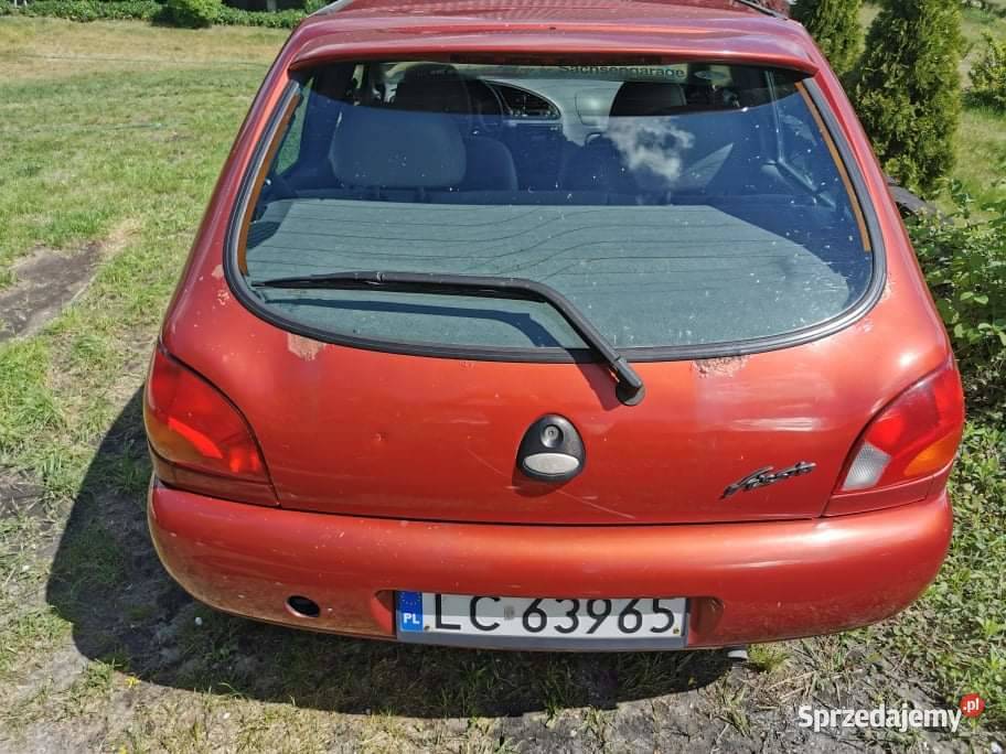 Zgrabny Fordzik kobiety Rejowiec