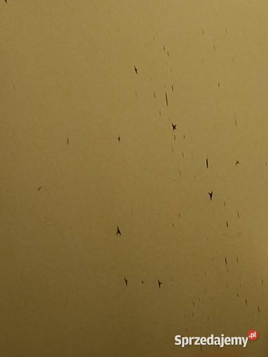 szafa z drzwiami przesuwnymi i pawlaczem mega Szafy i garderoby wielkopolskie Poznań