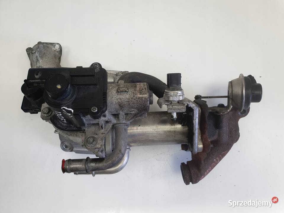 Renault Scenic III 15 DCI CHŁODNICA SPALIN EGR osobowe Chełm