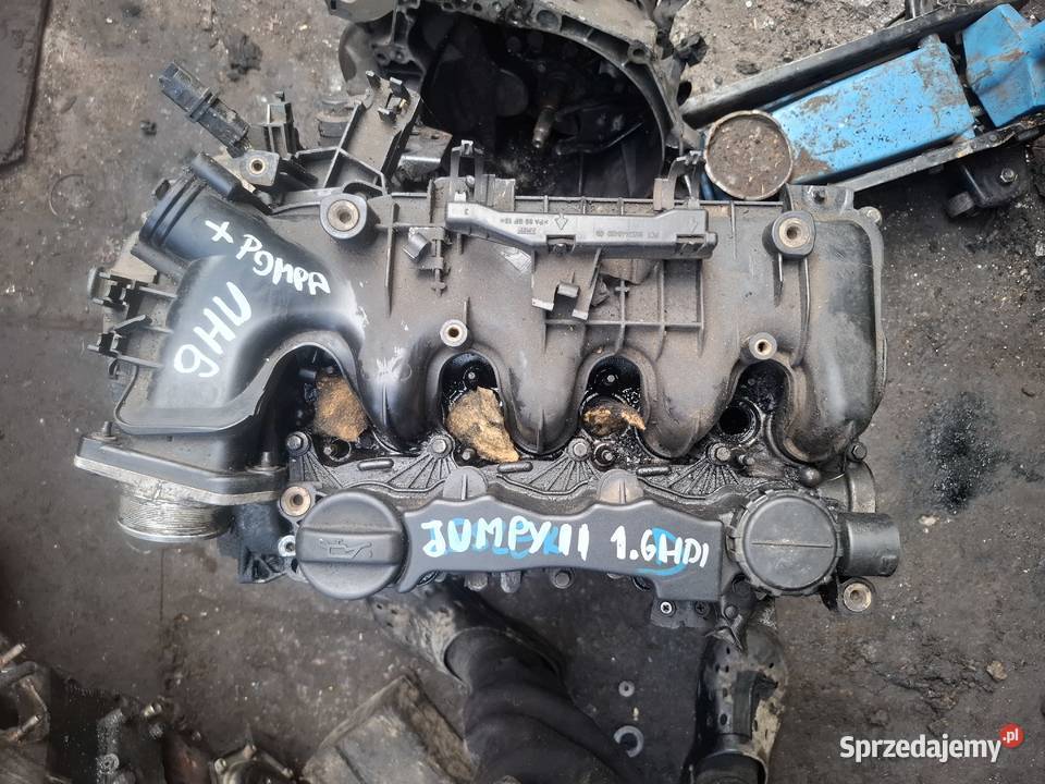 CITROEN JUMPY II SCUDO EXPERT 16 HDI silnik Kielce sprzedam
