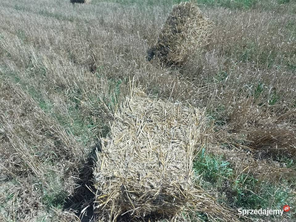 Prasa kostkujaca sipma Starachowice