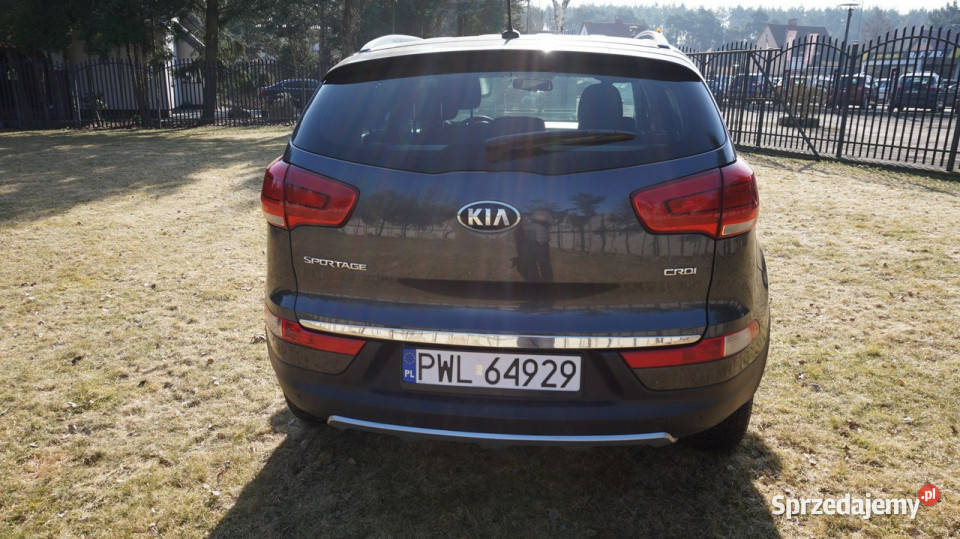 Kia Sportage piękny Gwarancja III 20102015 Zielona Góra