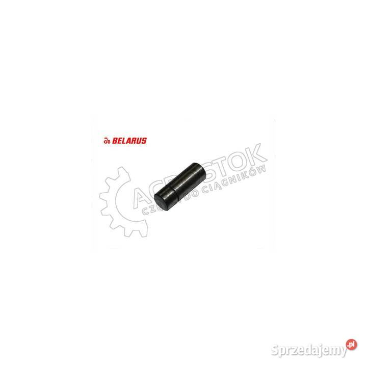 Kołek mtz 1221 15161 Pozostałe Parczew sprzedam