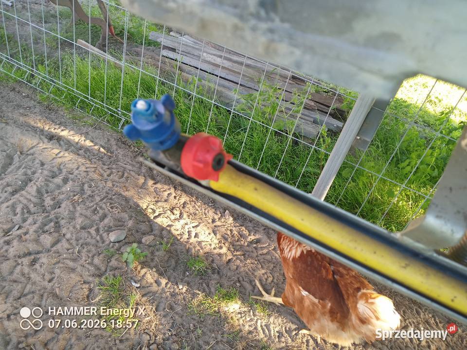 Opryskiwacz nieuszkodzony Grabów nad Prosną