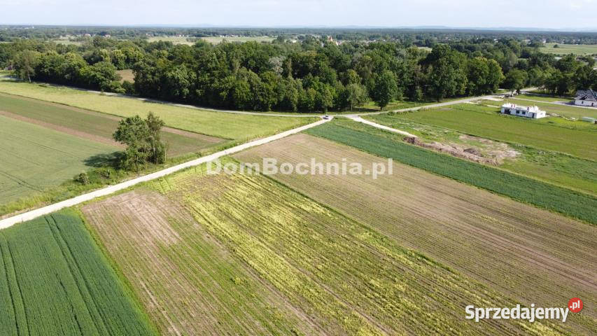 Działka Strzelce Wielkie 3188m2 budowlana