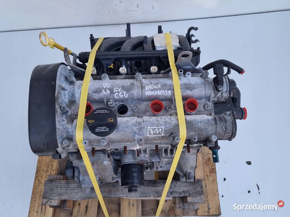 SILNIK KOMPLET VW Polo V 14 16V 80 test CGG CGGA lubelskie Janów