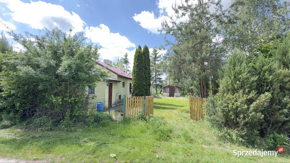 Dom siedlisko z gruntami ornymi Chełm sprzedam