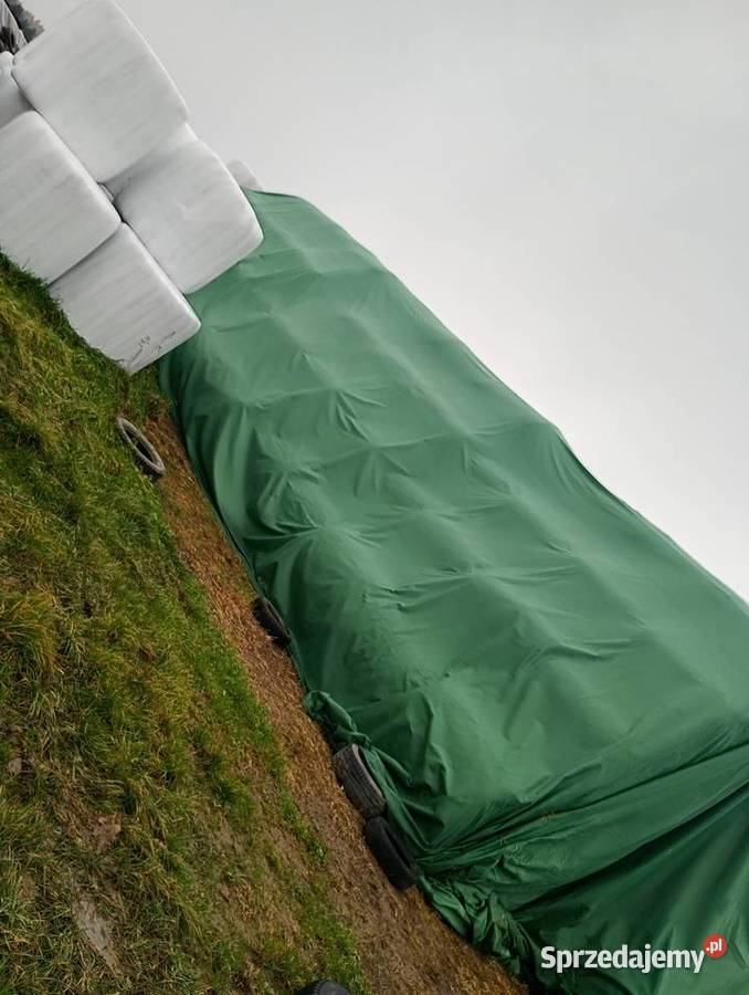 Sprzedam słome prasie Mchele 100 i 90 Burszewo